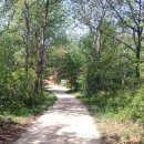 주내체육관 이미지