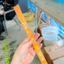 구석구석여행사  영농조합법인 | 청양 알프스 마을주차 겨울 국내 여행지 추천 빙벽 상황