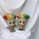 꽃마을주유소 | 방화동꽃집 꽃마을 가격 위치 영업시간