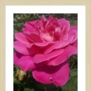 노원-상계-2697 이미지