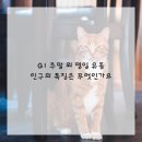 나혜석거리 이미지