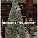 서울 호캉스 호텔 ː 강남 학동역 임피리얼 팰리스 서울 카페 델마르 트리 솔직 후기