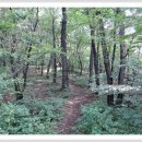 천주산 누리길 이미지