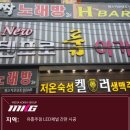 플렉스유흥주점 이미지
