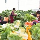 청송군체육관 실내체육관 이미지