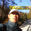 11/9(일) 이바구숲길마라톤 DNF...??? 이미지