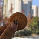 송도문화로120번길 | 분위기 좋은 송도공간대여 내일의날씨