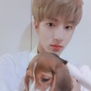 해피 이미지