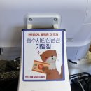 모도리 | 충주호 카페/충주 카페 [모도리] 데이트 카페 솔직후기