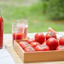 토마토가 장티푸스균 죽인다?…“항균작용 확인” 이미지