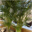 팔현로81 이미지