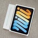 신지로 | 아이패드 미니 7세대 256GB 블루 + 애플펜슬 프로 구매 &amp; 언박싱 후기(feat. 신지로무 저반사 필름)