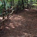 병길농장 이미지