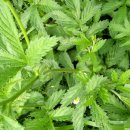 선학초등학교 이미지