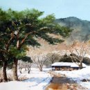 수채화 Daum카페