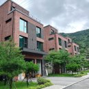 양평 애견동반 숙소 카푸치노 힐링하우스 / 블랙밤부 음식 테이크아웃 맛집 / 강아지랑 두물머리 방문 w...