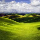 푸른초원 이미지