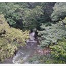 매촌천 Daum카페