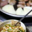 곰바우 이미지