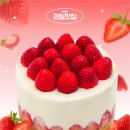 1995 | "생크림이 진짜 다르다!" 발산역 과일 맛집 1995 케이크 후기(망고/딸기/내돈내산)