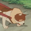 지밥