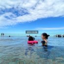 청아김밥 이미지