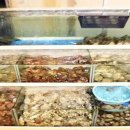 보령베스트 이미지