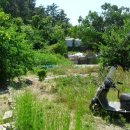 연일읍 중명리 이미지