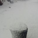 안태농장 이미지