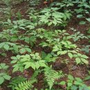 미래농장 이미지