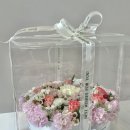 잠신초교병설유치원 이미지