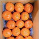 천지농장 | 천지유통(귤세상) 레드향 설 선물세트 네이버 택배주문 후기, 당도 미쳤음