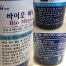 씨엔엠바이오 네이버블로그