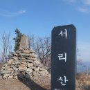 축령산 Daum카페