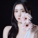 플라워랩 | 노원사진관 모노무드 랩 스튜디오 플라워 컨셉 프로필 촬영 후기｜노원프로필사진관에서 생화 인생사진...