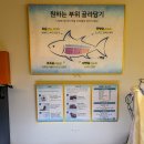 제주의별밤 이미지