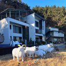 라메르펜션A 이미지