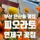 연제구-070 이미지