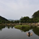 도장골낚시터 이미지