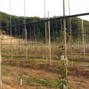 원준농장 이미지