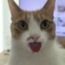 러블리PC방 이미지