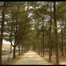 겨울연가펜션 이미지