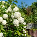 경기옛길 의주길 제5길 임진나루길 이미지