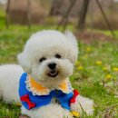 뉴욕종합동물병원 이미지