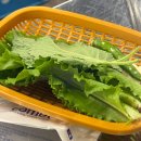 오목교역 맛집 고기집 신상 맛집 감골연탄집 삼겹살 목살 후기