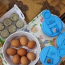 동송사우나 | 철원여행) 철원 동송 찜질방 &#39;플레이미&#39; + 수영장 후기 (내돈내산)