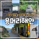 제주 사계리 용머리 화산쇄설층 | 제주 서부 여행지 용머리해안 인스타 관람 가능 여부 확인 필수