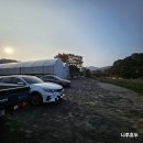 댕댕 하우스 | 파주 광탄 아름낚시터 방문 후기 | 11월 15일부터 하우스낚시 시작