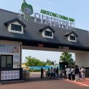 힐링스팟