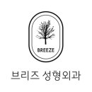 브리즈성형외과 네이버블로그